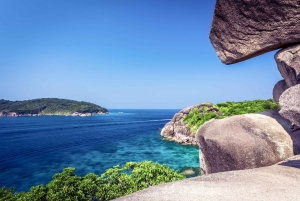 푸켓/카오락: 점심 포함 시밀란 제도 스피드 보트 투어