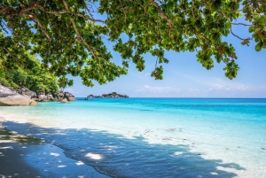 푸켓/카오락: 점심 포함 시밀란 제도 스피드 보트 투어