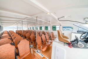 Phuket/Khao Lak: Similan Royal Tagestour mit dem Speed-Katamaran