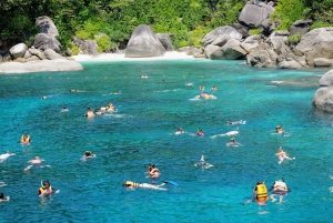Phuket/Khao Lak: Similan Royal Tagestour mit dem Speed-Katamaran
