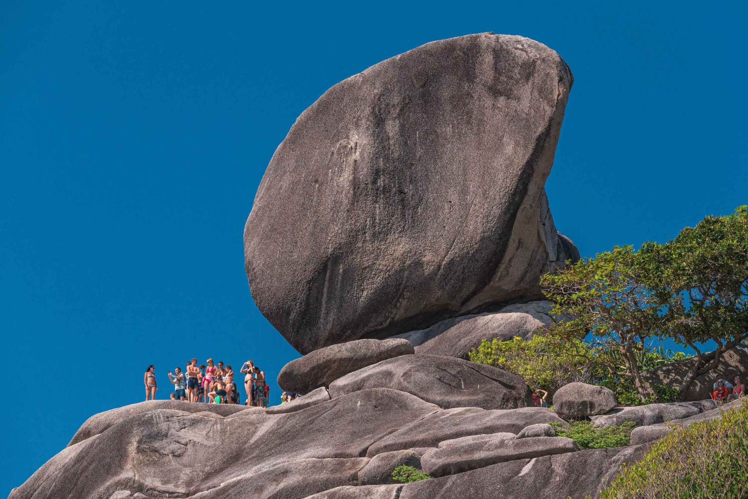 푸켓/카오락: 파워캣으로 즐기는 플래티넘 시밀란 스노클링 여행