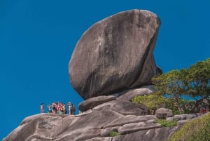 푸켓/카오락: 파워캣으로 즐기는 플래티넘 시밀란 스노클링 여행