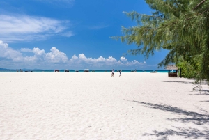 푸켓/카오락: 피피섬 & 대나무섬 스노클링 여행