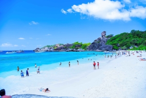 Phuket/Khao Lak: Wycieczka łodzią motorową z rurką na Wyspy Similan