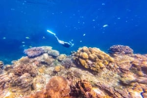 Phuket/Khao Lak: Surin Islands 3-Reef Snorkel Masterpiece