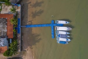 Phuket/Khao Lak: Surin Islands 3-Reef Snorkel Masterpiece