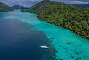 Phuket/Khao Lak: Surin Islands 3-Reef Snorkel Masterpiece