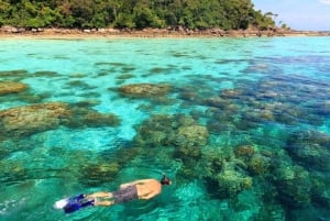 Phuket/Khao Lak: Surin Islands 3-Reef Snorkel Masterpiece