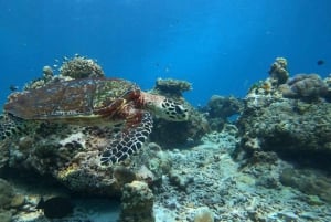 Phuket/Khao Lak: Surin Islands 3-Reef Snorkel Masterpiece