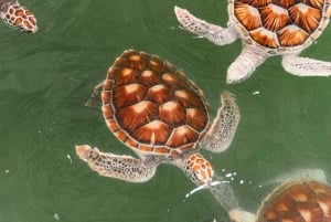 Phuket: Khao Lak-tour met bamboe-raft, ATV, zipline en lunch