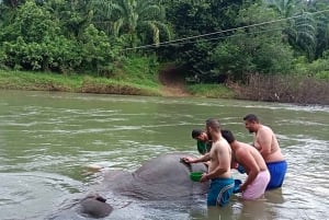 Phuket: Khao Sok 3 Tage 2 Nächte Abenteuer Escape mit 7 Mahlzeiten