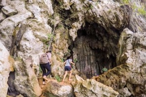 Phuket: Dagstur til Khao Sok nasjonalpark og Cheow Lan-sjøen