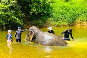 Phuket: Dagstur til Khao Sok nasjonalpark og Cheow Lan-sjøen