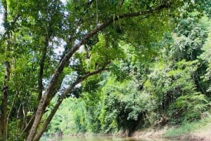 Phuket: Khao Sok National Park and Cheow Lan Lake Day Trip