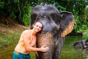 Phuket: Khao Sok National Park and Cheow Lan Lake Day Trip