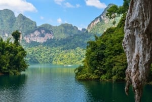 Phuket: Khao Sok nationalpark och Samet Nangshe privat tur
