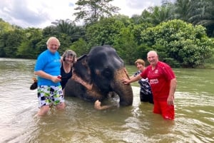 Phuket: Khao Sok Private Elephant Day Care og bambusflåte