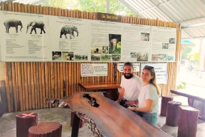 Phuket: Khao Sok Yksityinen Elefanttien päivähoito ja Bambu lautta