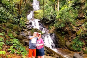 Phuket: Khao Sok Yksityinen Elefanttien päivähoito ja Bambu lautta