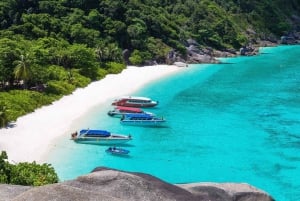 Phuket/Khaolak: Excursión de un día completo en barco y con tubo por las islas Similan
