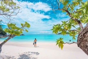 Phuket/Khaolak : excursion en catamaran à grande vitesse dans les îles Similan