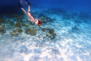 Phuket/Khaolak : excursion en catamaran à grande vitesse dans les îles Similan