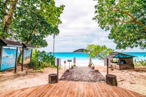 Phuket/Khaolak : excursion en catamaran à grande vitesse dans les îles Similan