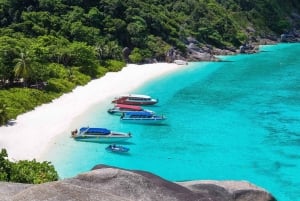 Phuket/Khaolak: Similanöarna Speed Catamaran Premium Trip