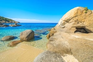 Phuket/Khaolak: Similanöarna Speed Catamaran Premium Trip