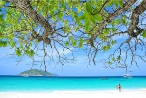 Phuket/Khaolak: Similanöarna Speed Catamaran Premium Trip