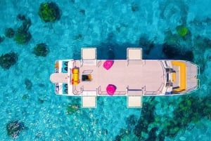 Phuket/Khaolak: Similanöarna Speed Catamaran Premium Trip