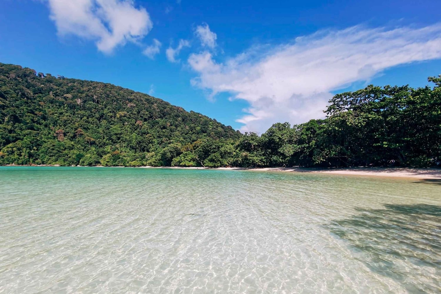 푸껫/카오락: 수린섬 종일 스노클링 쾌속선 투어