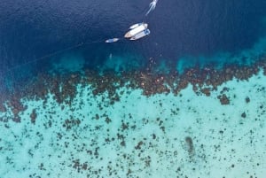 푸껫/카오락: 수린섬 종일 스노클링 쾌속선 투어