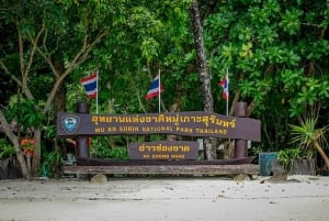 푸껫/카오락: 수린섬 종일 스노클링 쾌속선 투어