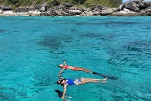 푸껫/카오락: 수린섬 종일 스노클링 쾌속선 투어