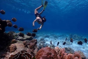 Phuket /Khaolak to Similan Islands Snorkeling by Speed boat