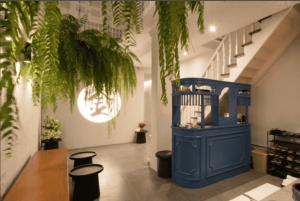 푸켓 킴스 마사지 & 스파 E-바우처