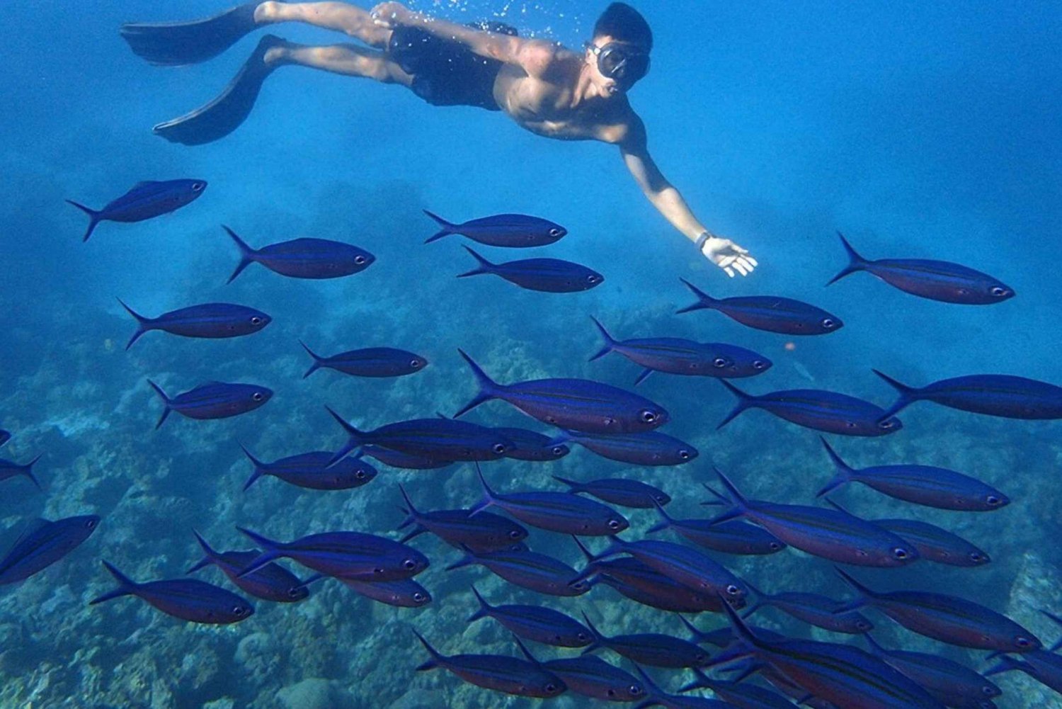 Phuket: Dagsutflykt till Koh Rok och Koh Ha (bästa av marinparken)