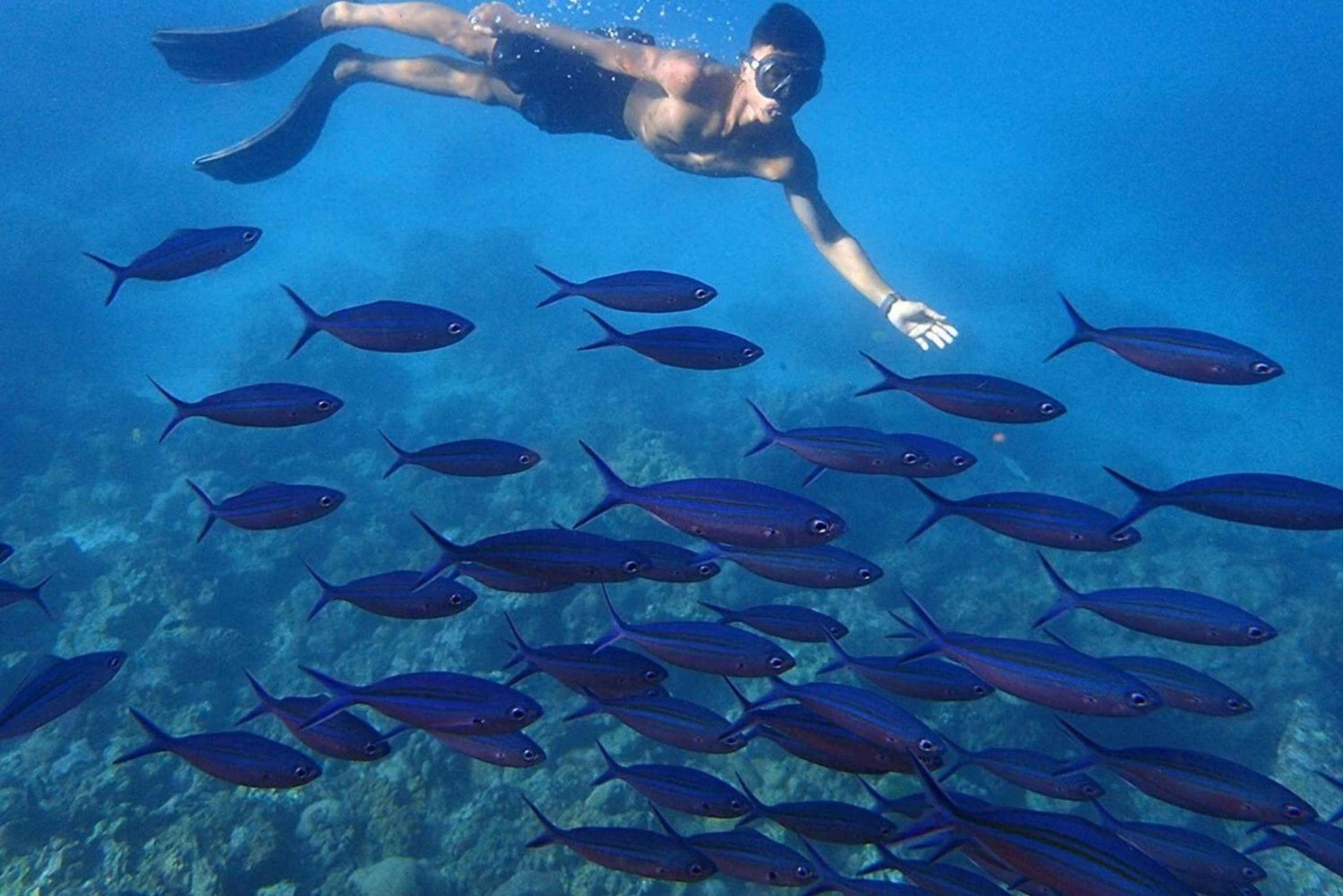 Phuket: Koh Rok i Koh Ha - 1-dniowa wycieczka (Best of Marine Park)