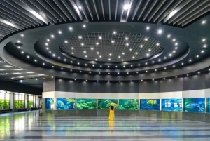 Phuket: Last Day Private Trip to Temple & Jewelry Tour