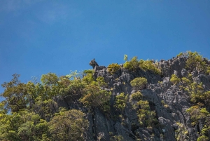 فوكيت جولة نهارية بالقارب السريع على متن قارب سريع في كاو فينغ كان وجزر ياو