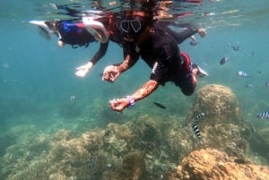 Phuket: Relaxed Phi Phi & Khai Islands Beach Snorkeling Tour