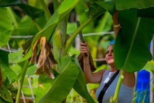 Phuket: Lily Elephant Conservation – Upptäcktsresa från djungeln till havet