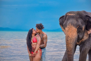 Phuket: Lily Elephant Conservation – Upptäcktsresa från djungeln till havet