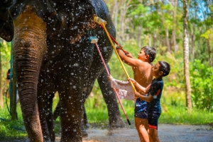 Phuket: Lily Elephant Half day Trip on the Beach with lunch