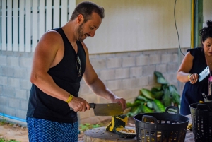 Phuket: Lily Elephant Half day Trip on the Beach with lunch