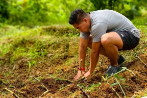 Phuket: Lily Elephant Half day Trip on the Beach with lunch
