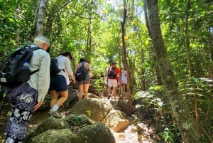 Tour delle vedette di Phuket con pranzo in una fattoria biologica
