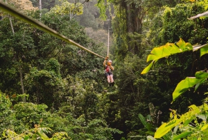 Phuket: Luge, Zipline, Skywalk & Adventure Combo Experience
