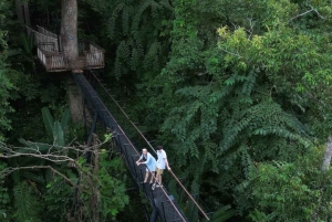 Phuket: Luge, Zipline, Skywalk & Adventure Combo Experience